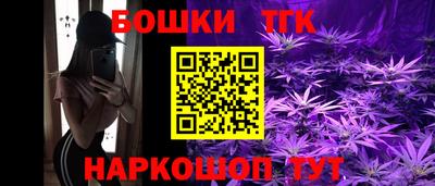 индика Владимир
